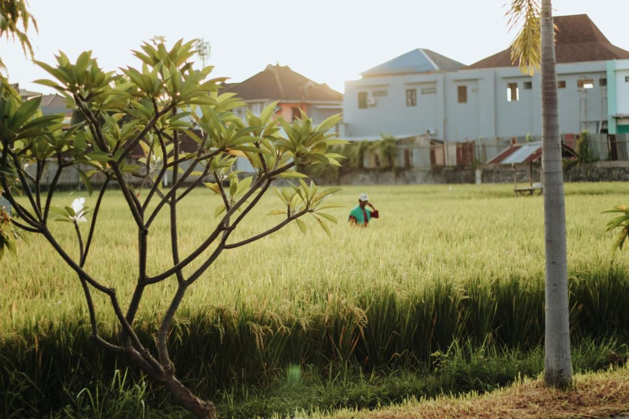 Hotel Mandari Buleleng  Exterior photo
